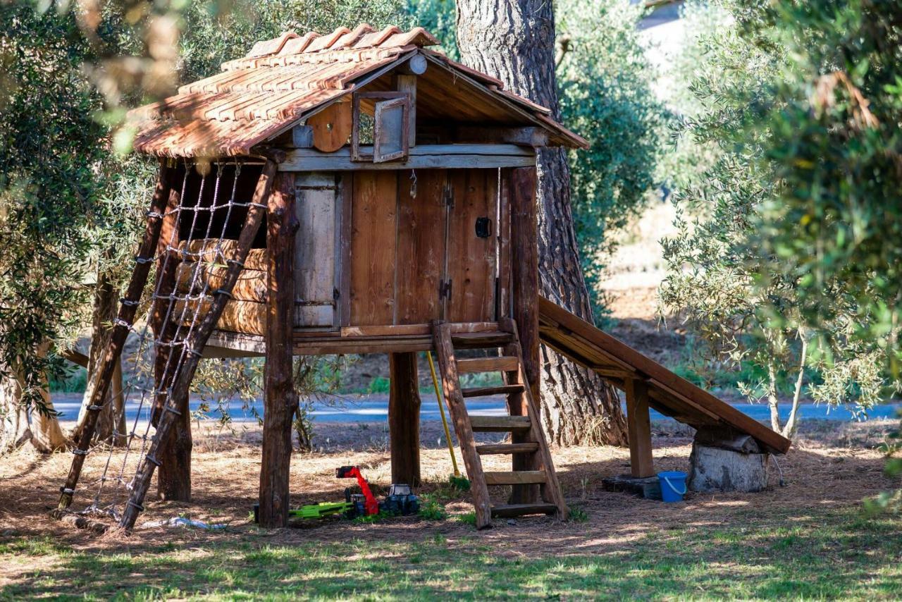 Agriturismo Fontetrilla Орбетелло Экстерьер фото